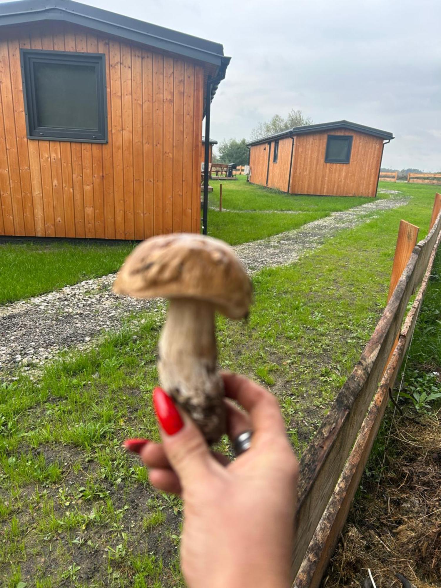 Zacisze Obok Suntago Park Hotel Grabce-Towarzystwo Kültér fotó